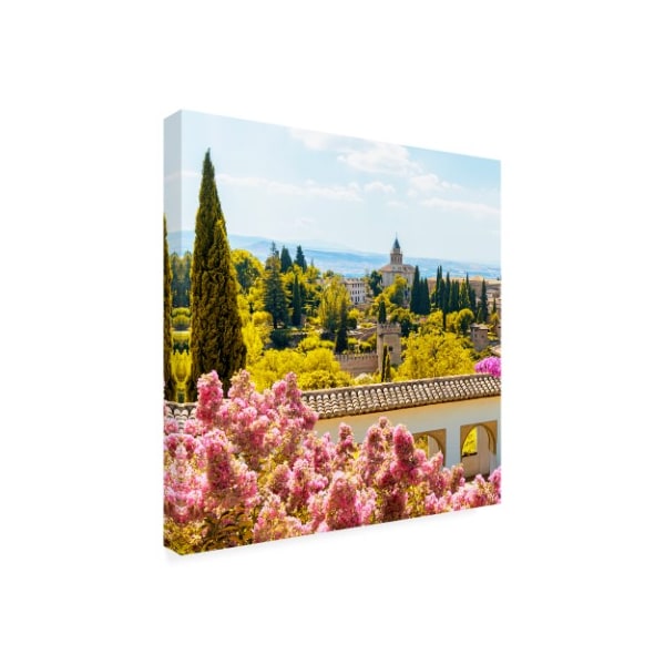 Philippe Hugonnard 'Made In Spain 3 Flowers Of Alhambra With Fall Colors' Canvas Art,35x35